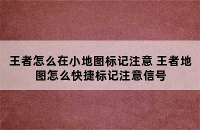 王者怎么在小地图标记注意 王者地图怎么快捷标记注意信号